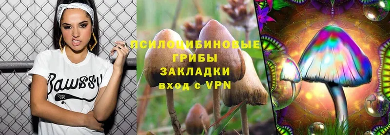 hydra ONION  Почеп  Псилоцибиновые грибы MAGIC MUSHROOMS 